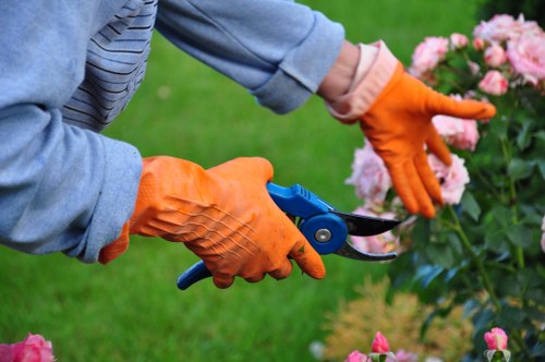 Garden clearance team removing overgrown vegetation from a narrow mews garden