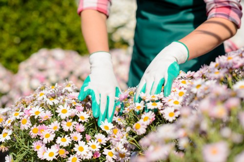 Pest management in Marylebone gardens