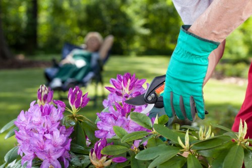 Gardener finishing a neat lawn in a Marylebone mews garden