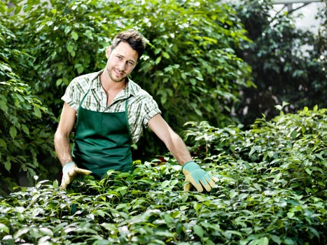 Healthy soil preparation for gardening