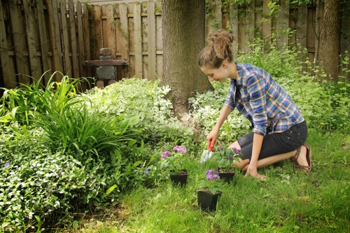 Gardener performing finishing touches to a Marylebone lawn