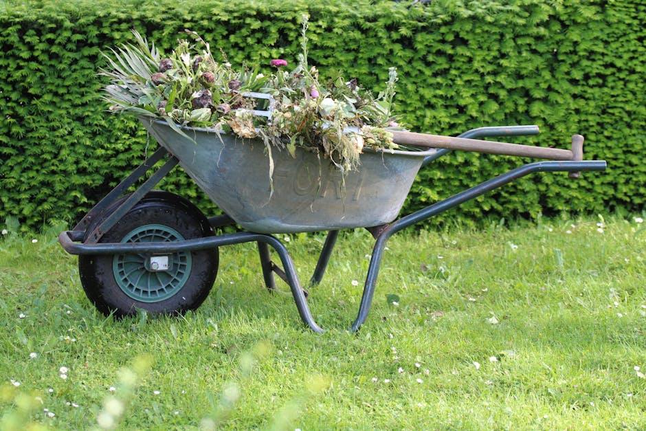 A gardener's hands using long-handled hedge shears to trim a dense, green hedge in a well-maintained garden. The hedge consists of small, bright green leaves and is situated along a paved pathway, wit