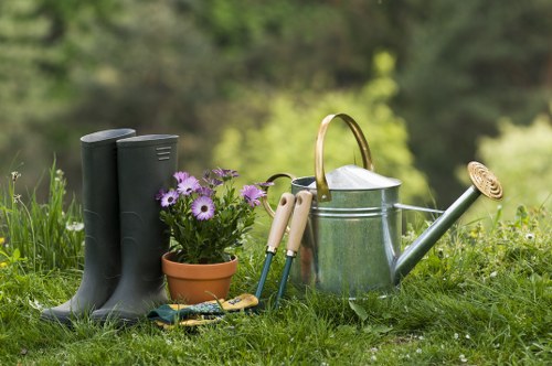 Seasonal lawn care in Marylebone